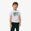 Bawełniany T-shirt z nadrukiem graficznym Bawełniany T-shirt z nadrukiem graficznym