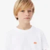 Bawełniany T-shirt z nadrukiem krokodyla