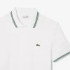 Męska koszulka Polo Regular Fit Trim Accent L.12.12