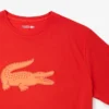 Męski sportowy T-shirt o kroju Tall Fit z nadrukiem Męski sportowy T-shirt o kroju Tall Fit z nadrukiem