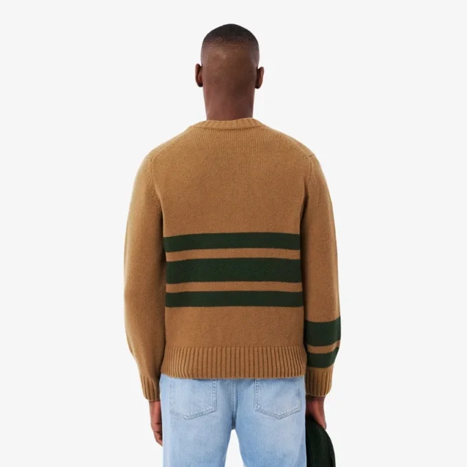 Męski sweter z wełny w paski z dekoltem w serek Męski sweter z wełny w paski z dekoltem w serek