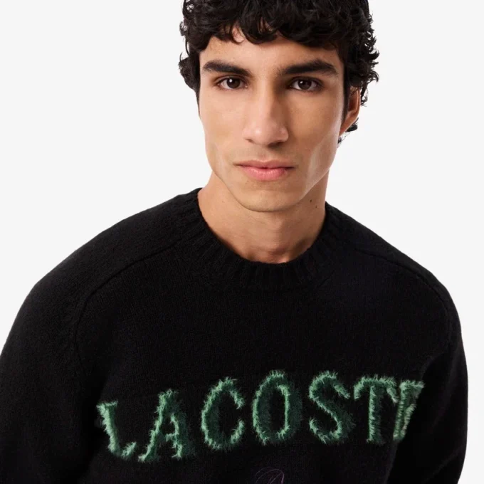 Męski sweter z wełny z intarsją z logo marki Męski sweter z wełny z intarsją z logo marki
