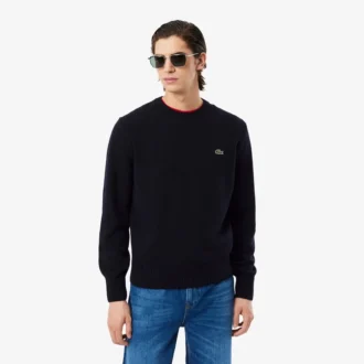 Męski sweter z wełny z okrągłym dekoltem