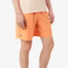 Męskie szorty Lacoste Tennis X Novak Djokovic Męskie szorty Lacoste Tennis X Novak Djokovic