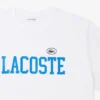T-shirt z bawełnianego dżerseju – rozmiar plus size – duża